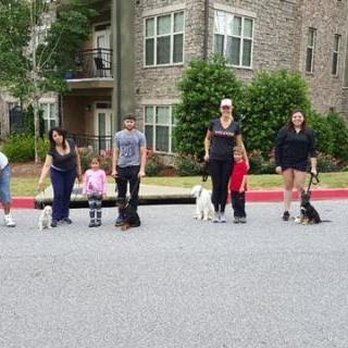 Darius' Dogs - Pet Training Near Me