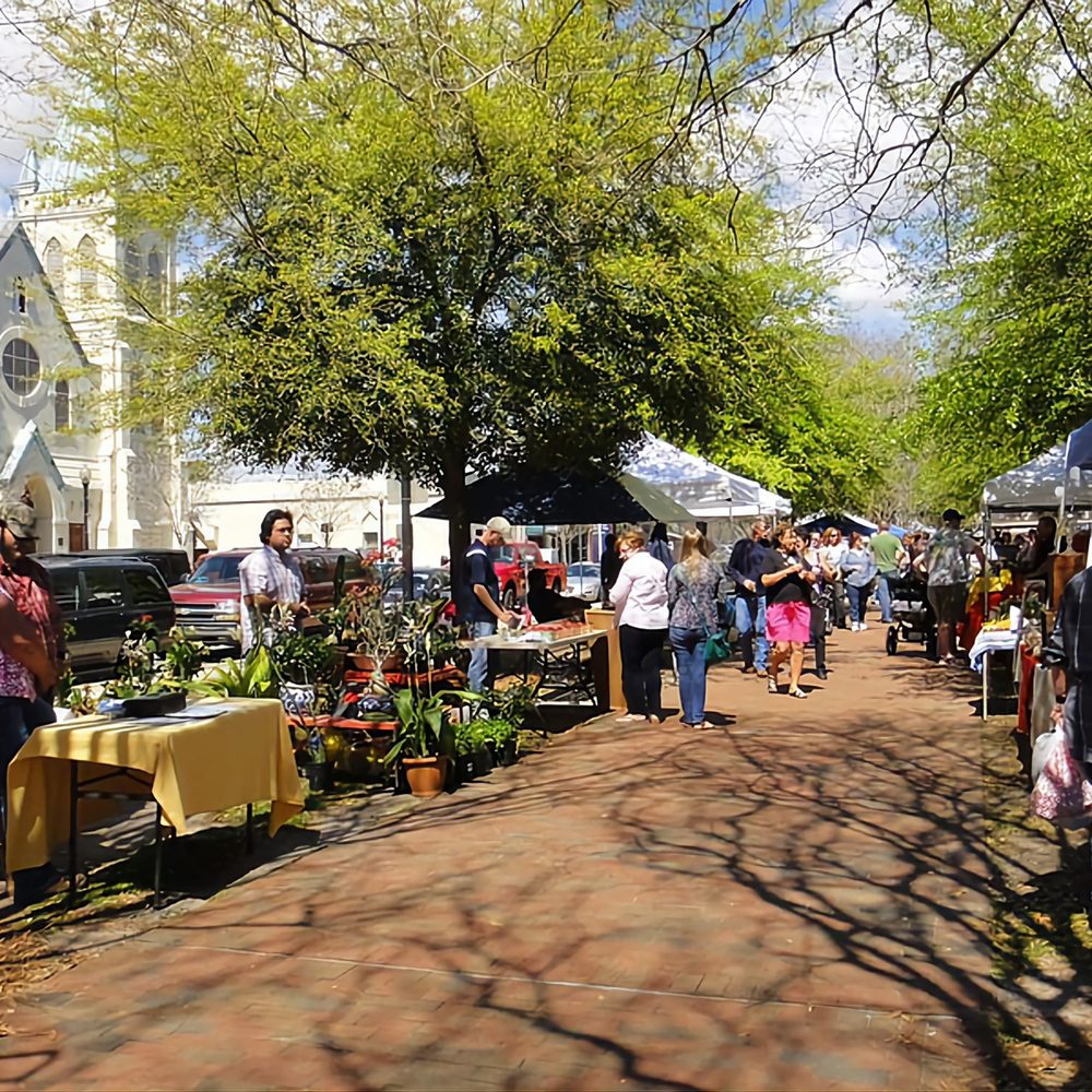 Shaded area to visit vendors. Shaded area to visit vendors.