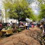 Photo of Palafox Market