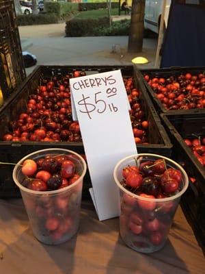 Fullerton Farmer's Market by null