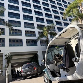 Blu Bar & Lounge - It's right near the Cruise terminal great place for drinks for dinner happy hour - American Near Me - San Pedro, California