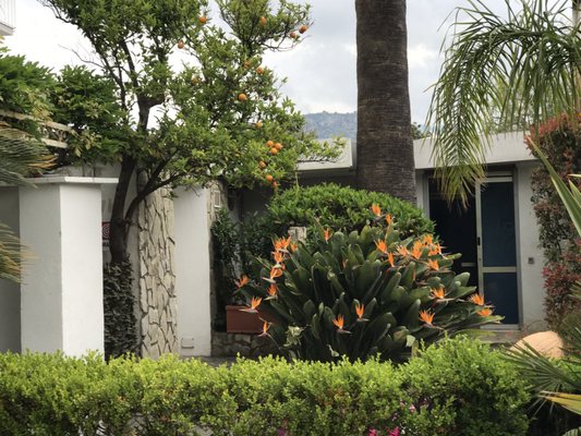 Hotel Mediterraneo Sorrento by null