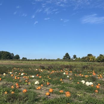 Rulfs Orchard - Fruits & Veggies Near Me - Peru, New York Rulfs Orchard - Fruits & Veggies Near Me - Peru, New York