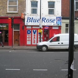 Blue Rose