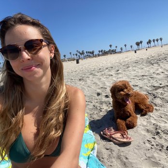 Coronado Dog Beach - Dog beach - Beaches Near Me - Coronado, California Coronado Dog Beach - Dog beach - Beaches Near Me - Coronado, California