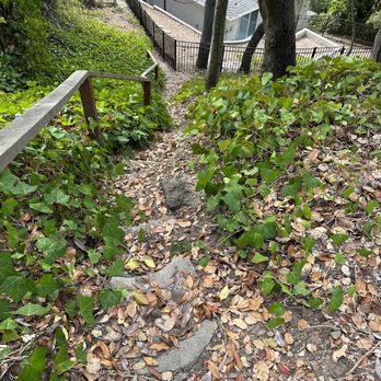 Danny Landscape - a path leading to a house - Landscaping Near Me Danny Landscape - a path leading to a house - Landscaping Near Me