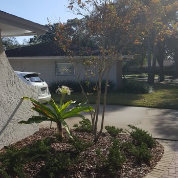 Terra Consulting & Design - after (crinnum lily and dwarf crepe myrtle) - Landscaping Near Me Terra Consulting & Design - after (crinnum lily and dwarf crepe myrtle) - Landscaping Near Me