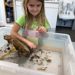 Barlina House Preschool