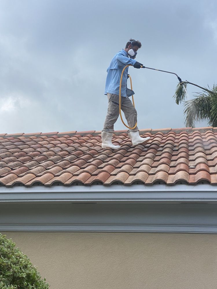 Slide of Peacock Window Cleaning & Pressure Cleaning