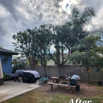Timber Pros Tree Service - Tree Services Near Me - Fontana , California Timber Pros Tree Service - Tree Services Near Me - Fontana , California