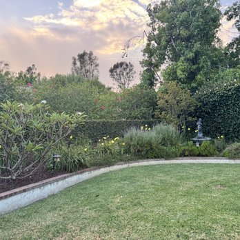 Reg’s Tree Service - Tree Services Near Me - Corona, California Reg’s Tree Service - Tree Services Near Me - Corona, California