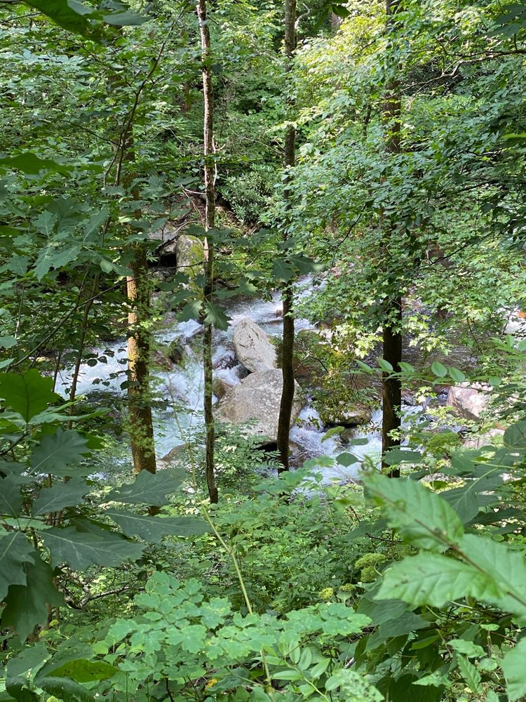 Midnight Hole Falls Logo