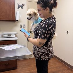 Clear Creek Animal Hospital - Leo and nurse