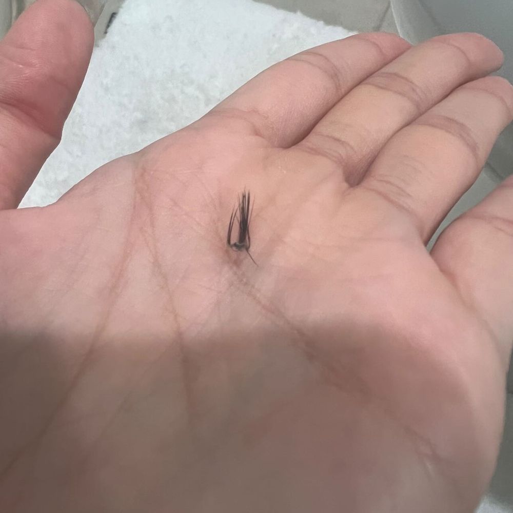 Skyelash Studio - Eyelash Service Near Me - San Jose, California Skyelash Studio - Eyelash Service Near Me - San Jose, California