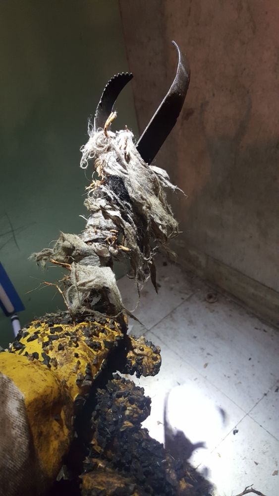 Slide of Discount Drain Cleaning