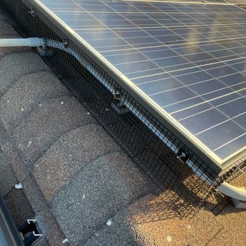 Aloha Solar Panel Cleaning - Bird mesh - Solar Panel Cleaning Near Me