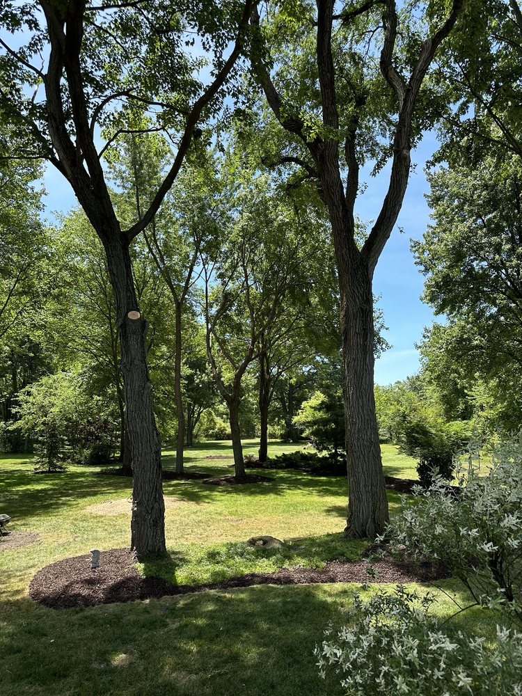 Hall Brothers Tree Services - tree service in Olmsted Falls, OH