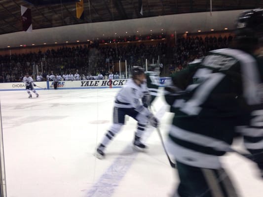 Ingalls Ice Rink by null