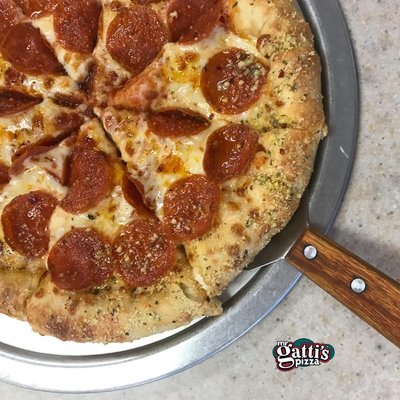 Mr. Gatti's Pizza by null