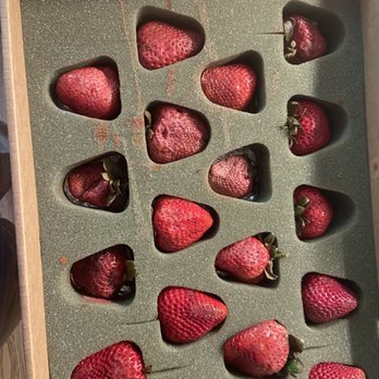 Harry & David - Moldy strawberries - Gift Shops Near Me - Medford, Oregon Harry & David - Moldy strawberries - Gift Shops Near Me - Medford, Oregon