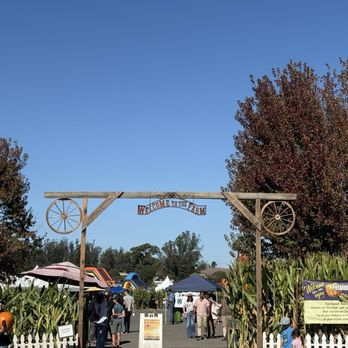Petaluma Pumpkin Patch And Amazing Corn Maze - Pumpkin Patches Near Me - Petaluma, California Petaluma Pumpkin Patch And Amazing Corn Maze - Pumpkin Patches Near Me - Petaluma, California