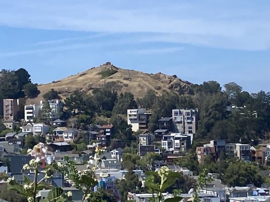 Kite Hill by null