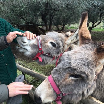 Minardi Winery Tours - Food Tours Near Me - Frascati, RM