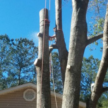 Lumberjack Tree Experts - Blocking down big logs, safely lowering to the deck. - Tree Services Near Me - Griffin, Georgia Lumberjack Tree Experts - Blocking down big logs, safely lowering to the deck. - Tree Services Near Me - Griffin, Georgia