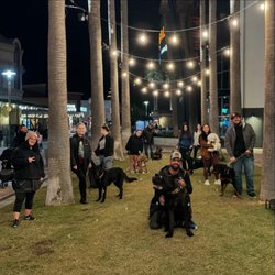DRK9 Services - Group training at Riverpark farmers market