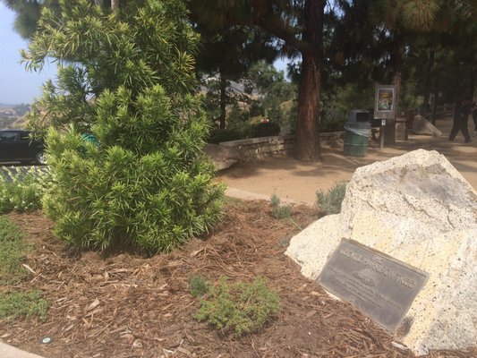 Photo of The George Harrison Tree - Los Angeles, CA, United States. George Harrison tree