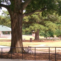 BMX Track