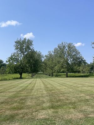 Institute for Advanced Study by null