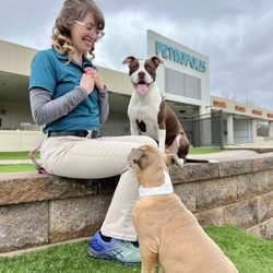 Petropolis - Our experienced trainers utilize positive reinforcement techniques to address behavior challenges, obedience, and specialized skills.