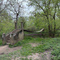 Princeton Institute Woods
