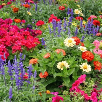 Thayer Nursery - Nurseries & Gardening Near Me - Milton, Massachusetts
