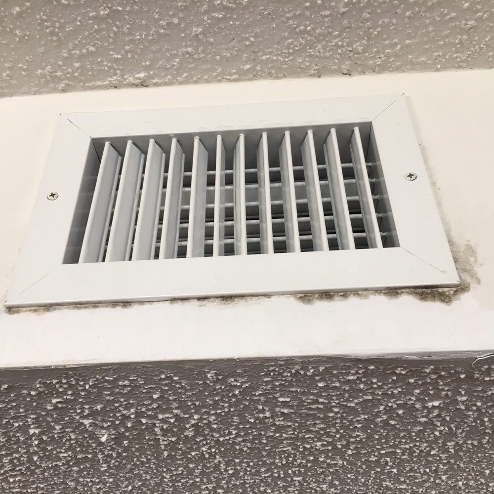 Crescent Shores - Hello mold. - Hotels Near Me - North Myrtle Beach, South Carolina