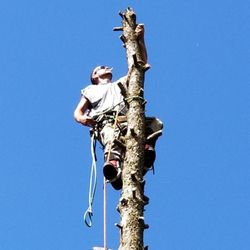 New Age Tree Service