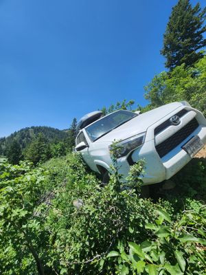 Wolford Collision Repair