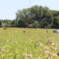 Wickiup Hill Learning Center - Prairies are plentiful at the Wickiup Hill Learning Center