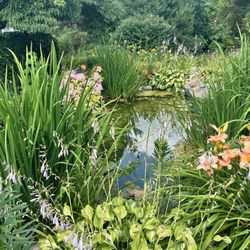 Greystone Manor Bed & Breakfast - Pond on the grounds