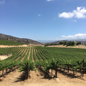 Leoness Cellars - Venues & Event Spaces Near Me - Temecula, California Leoness Cellars - Venues & Event Spaces Near Me - Temecula, California