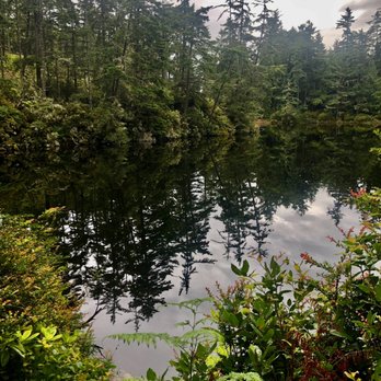 Umpqua Lighthouse State Park - Lake Marie - Parks Near Me - Reedsport, Oregon Umpqua Lighthouse State Park - Lake Marie - Parks Near Me - Reedsport, Oregon