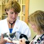 Photo of Middleton Veterinary Hospital