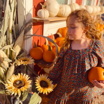Moore Pumpkin Patch - Pumpkin Patches Near Me - Livermore, California Moore Pumpkin Patch - Pumpkin Patches Near Me - Livermore, California