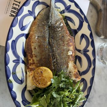 Terra - Branzino - Italian Near Me - Santa Clara, California