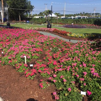 Costa Color - Beautiful gardens! - Ranches Near Me - Miami, Florida Costa Color - Beautiful gardens! - Ranches Near Me - Miami, Florida