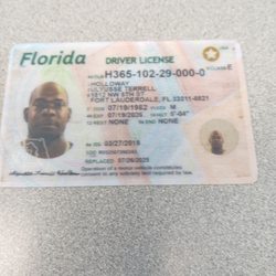 Florida Highway Safety and Motor Vehicles