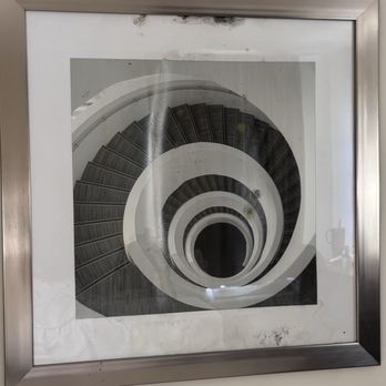 SureStay Hotel By Best Western Grayson - Framed poster in the room with various molds on it - Hotels Near Me - Grayson, Kentucky SureStay Hotel By Best Western Grayson - Framed poster in the room with various molds on it - Hotels Near Me - Grayson, Kentucky