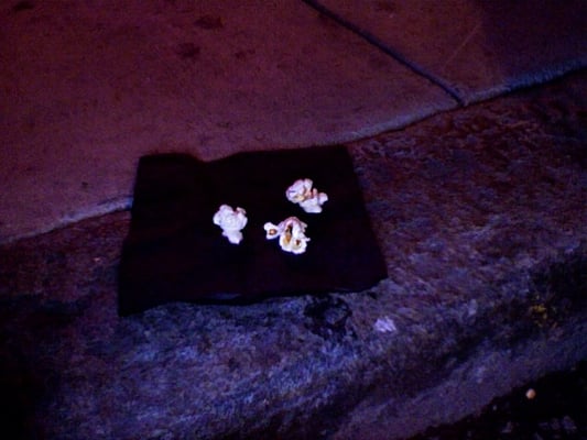 Photo of Cortez - San Francisco, CA, US. I do not much like this. Is it flammable?