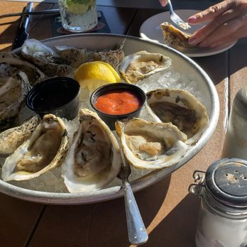 Hot Tuna - Raw Oysters during Happy Hour are delicious! - Bars Near Me - Virginia Beach, Virginia Hot Tuna - Raw Oysters during Happy Hour are delicious! - Bars Near Me - Virginia Beach, Virginia